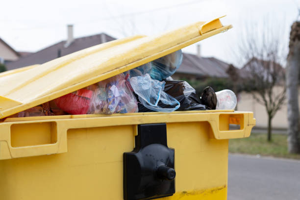 Best Dumpster Rental Services  in Warren Park, IN